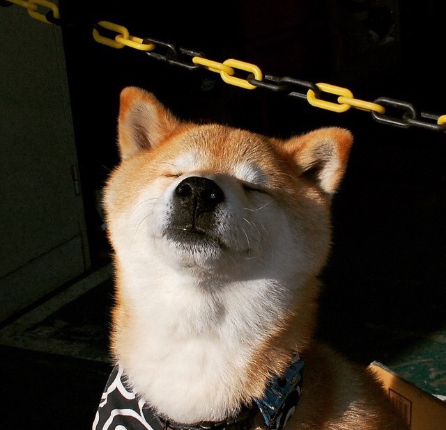 岩壁与海啸,当德里赫特的爆发,撞上佛罗伦萨冲垮比利时的洪流