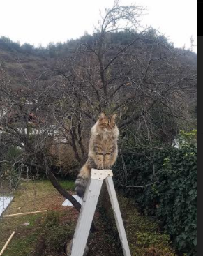 平行宇宙,两场克莱生涯之夜