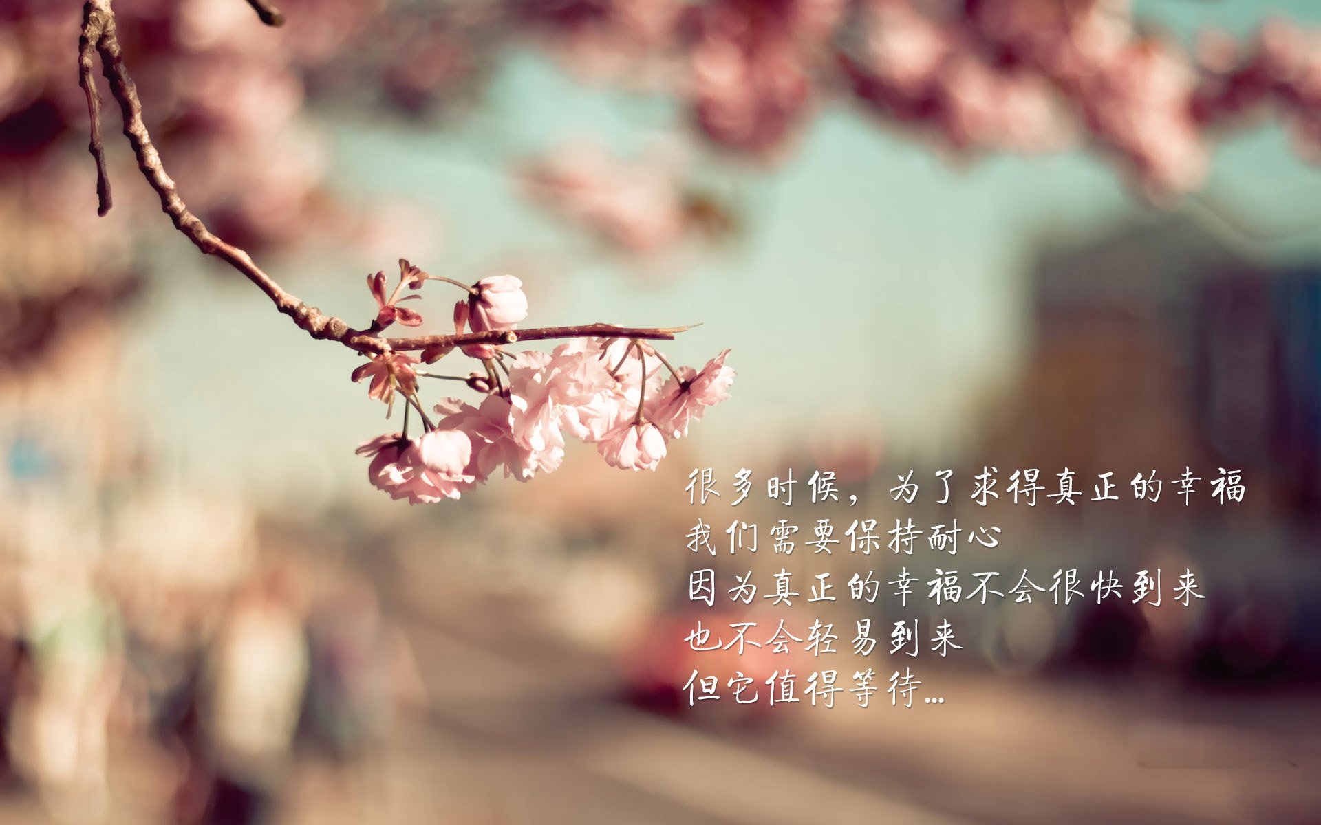 跨界映照,欧冠之夜,一位足球场上的约基奇如何上演教科书级掌控