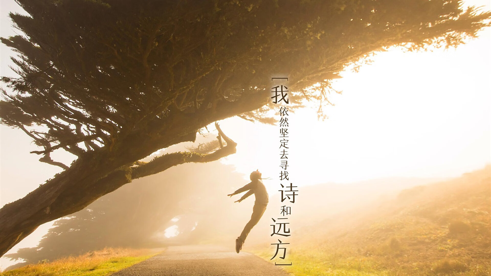 沙漠风暴中的孤星,2026世界杯D组阿联酋险胜哥斯达黎加,穆西亚拉一人改写命运